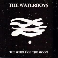 The Waterboys