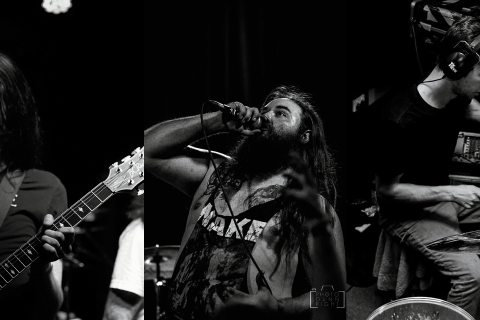 ASHEN HORDE revela vídeo com letra da impactante faixa-título “The Harvest”